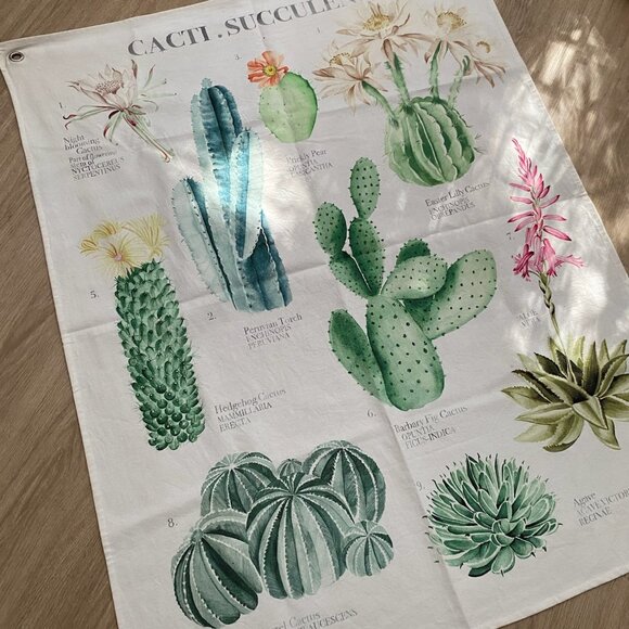 Urban Outfitters Illustrative Reference Chart Tapestry In Cacti + Succulents - Picture 2 of 4
